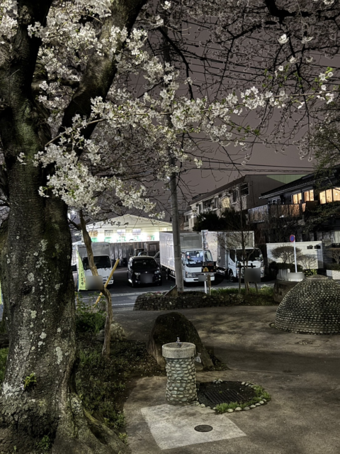 弊社の近況をご報告